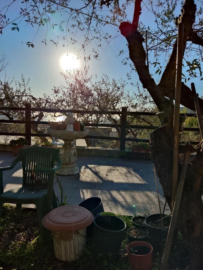 Casa Elvira Apartman Seglia San Bernardo Kültér fotó